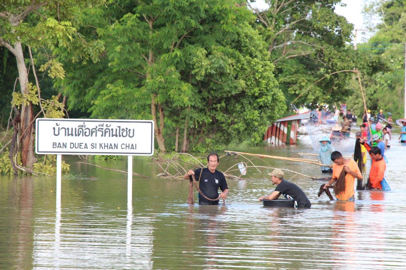 20507017 656297787900840 5624473386871456414 o