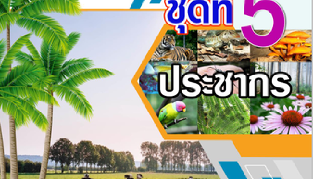 ชุดกิจกรรมการเรียนรู้วิทยาศาสตร์